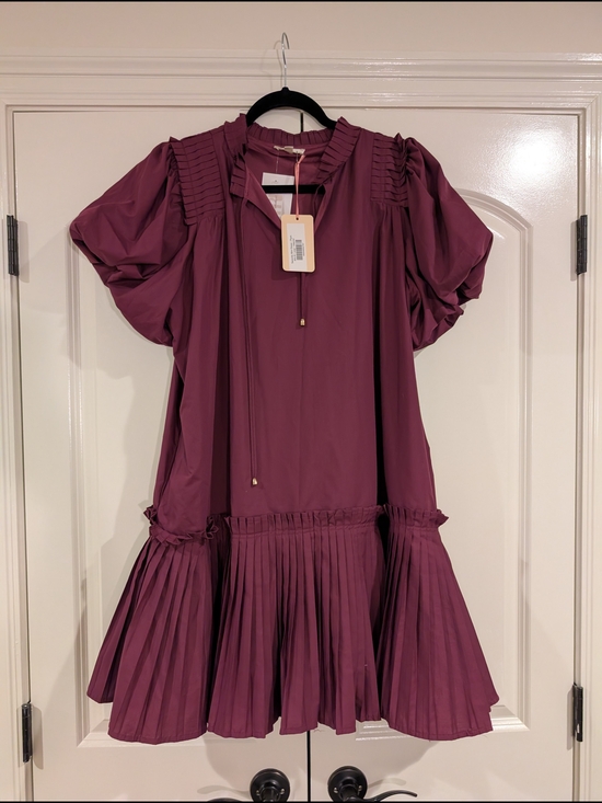 entro Dresses & Skirts - NWT Entro Pleated Short Sleeve Drop-Waist Dress - Wine